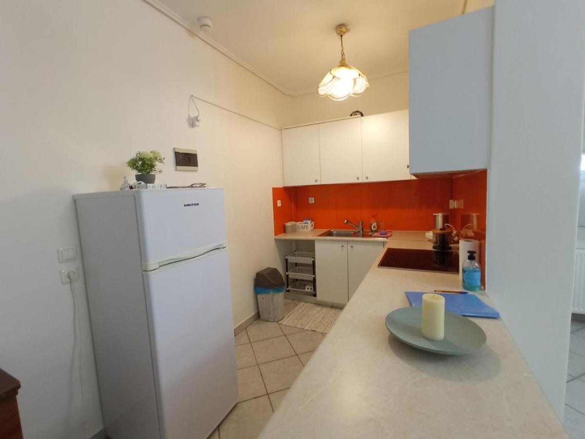 Flat With Garden Near Sea, Port And Airport Apartamento Loútsa Exterior foto