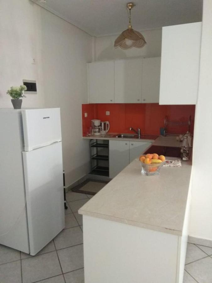 Flat With Garden Near Sea, Port And Airport Apartamento Loútsa Exterior foto